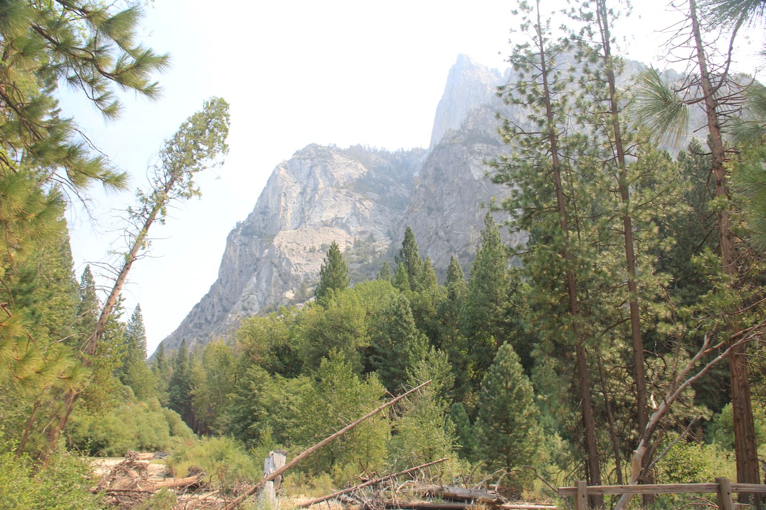 Zumwalt Meadows Trail 